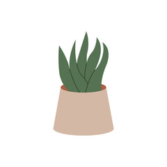 Home plant in a pot. Vector flat illustration on isolated background. 