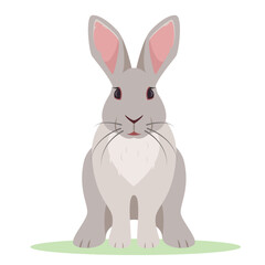 Fototapeta na wymiar Grey rabbit sitting on grass. Wild or Farm animal or pet icon. Vector illustration isolated on white background.