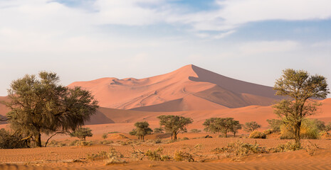 Fototapeta na wymiar Sand dunes of Deadviel