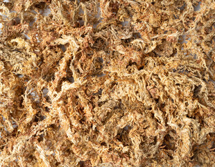 Dry Sphagnum Moss, Ecology Gardening Soil, Plant Moisture, Natural Antibiotic, Eco Supplement
