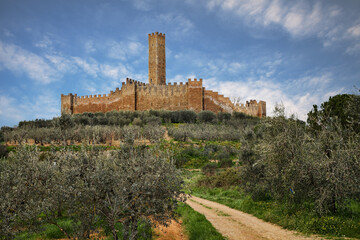 Castiglion Fiorentino, Arezzo, Tuscany, Italy: the medieval castle of Montecchio Vesponi in the country with olive tree groves