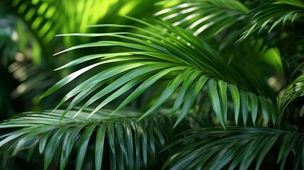 Obraz premium exotic tropical foliage background