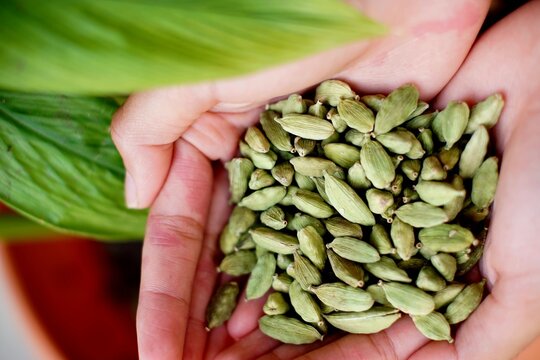 Guatemalan high quality cardamom pods