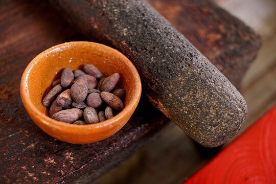 Raw cacao beans and mayan metate grinding stone
