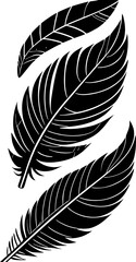 black stylized graphic drawing of three bird feathers without background, isolated element