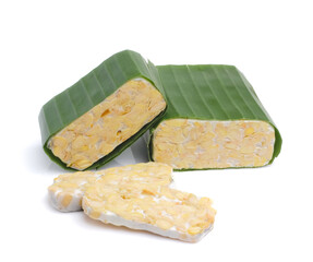 Tempeh isolated on white background