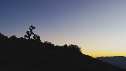 Obraz premium keys view sunset, joshua tree national park