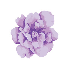 Obraz premium Watercolor floral illustration set. Pink pink flowers for bouquets, wedding invitations, anniversary, anniversary, postcards, greetings