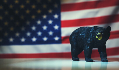 Bear Against the American Flag