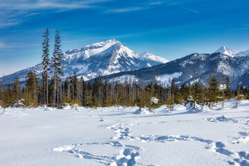 Winter view of the Tatra Mountains on a beautiful sunny frosty day. A lot of snow and trees against the backdrop of high mountains