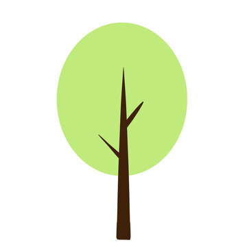 beautiful green tree