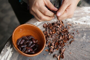 Separating cacao husk from cacao beans by hand to make chocolate