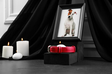 Frame with picture of dog, collar and burning candles on grey table. Pet funeral