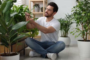 Man wiping leaves of beautiful potted houseplants indoors