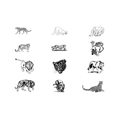 vector set of silhouettes of tiger leopard and lion on white background