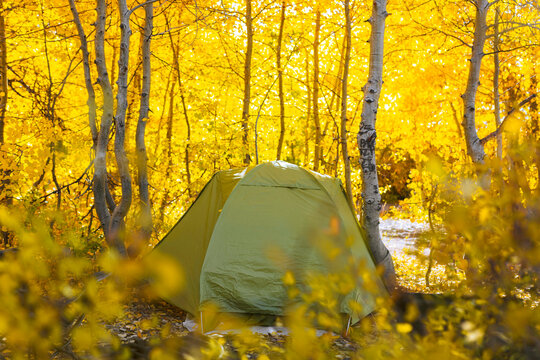 tent in the woods in Autumn