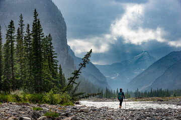 Hiking in the rain Woman Hiker crosses the Ghost River Trans Alta trail with Mt Aylmer in the...