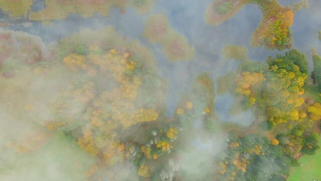 Aerial foggy top-down view of Kirkilai karst lakes in the bright autumn morning