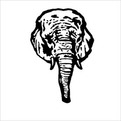 elephant head silhouette