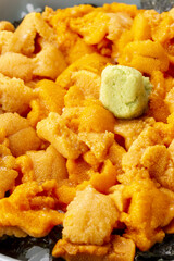 北海道の新鮮で美味しいウニ料理