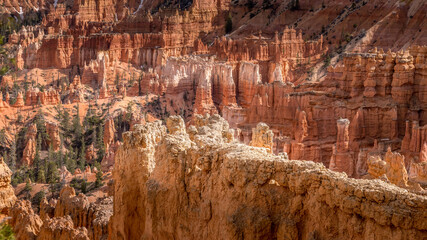 Hoodoos  of Bryce Canyon 2023