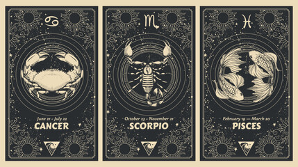 Zodiac signs Cancer, Scorpio, Pisces, water element, mystical astrology card set, horoscope banner with realistic pattern on black background for stories. Vector boho hand drawing, magic design.