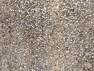 background of buckwheat