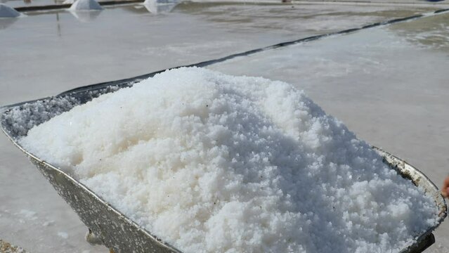A sea salt farmer is collecting sea salt (17)