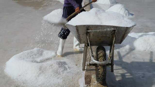 A sea salt farmer is collecting sea salt (16)