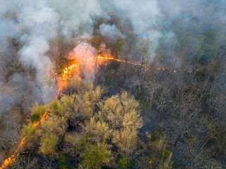 Climate change, Tropical wildfires release carbon dioxide (CO2) emissions that contribute to...