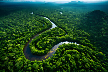 Aerial view of the Amazon rainforest in Brazil, South America. Green forest. Bird's-eye view,generative ai