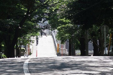 初夏の御殿山通り