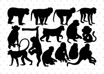 Monkey Silhouette, Monkey SVG, Chimpanzee Svg, Gorilla Svg, Ape Svg, Chimp Svg, Monkey Bundle, SB00294