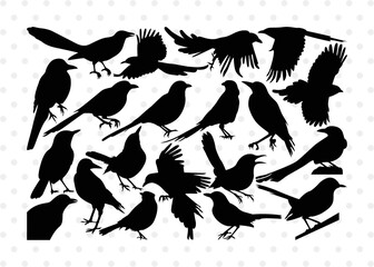 Obraz premium Magpie Bird Silhouette, Magpie Bird SVG, Magpie Svg, Bird Svg, Flying bird Svg, Sitting bird Svg, Magpie Bird Bundle, SB00292