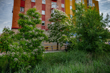Fototapete bei efototapeten.de bestellen   