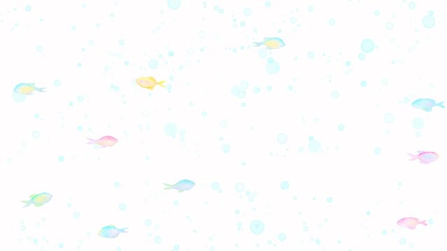 カラフルな熱帯魚が泳ぐきれいなループアニメーション。背景透過。