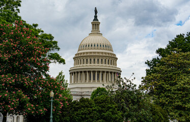 The United States Capitol Building