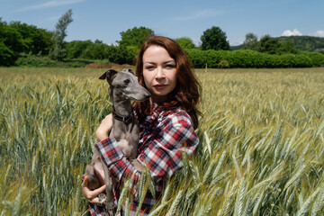 Close up view of happy woman with greyhound dog in the middle of a wheat field. Nature and animals concept.
