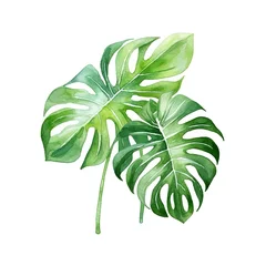 Fototapete Monstera Summer House Plant Art, Foliage Stalk Water Color Style Vibrant and Exotic, Emerald Green, AI Generated Art for Interior Design