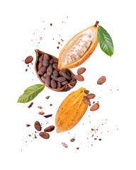 Yellow cocoa fruit, cacao beans with cocoa nibs and chocolate in powder flying in the air isolated...