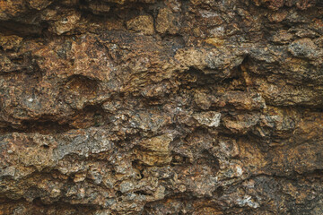 close up of a rock