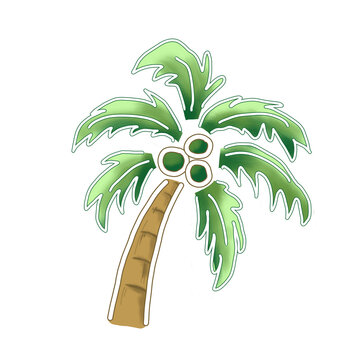 coconut tree
