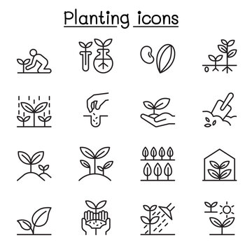 Plant icon set in thin line style