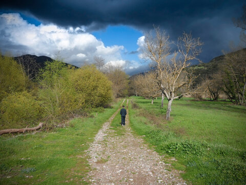 Boy walking alone in the fields