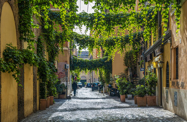 Fototapeta na wymiar Ruelle végétalisée dans le quartier Transtevere à Rome