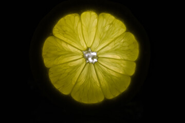 A slice of lemon with a black background. Photographed with transmitted light