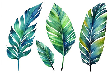 Tropical palm leaves set on white background. Watercolor hand-painted, summer