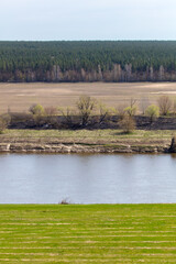 Spring landscape with river and forest. Early spring in the forest