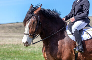 Obraz premium A woman rides a horse in nature