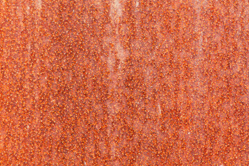 Rusty metal background. Old abstract grunge background texture for your design